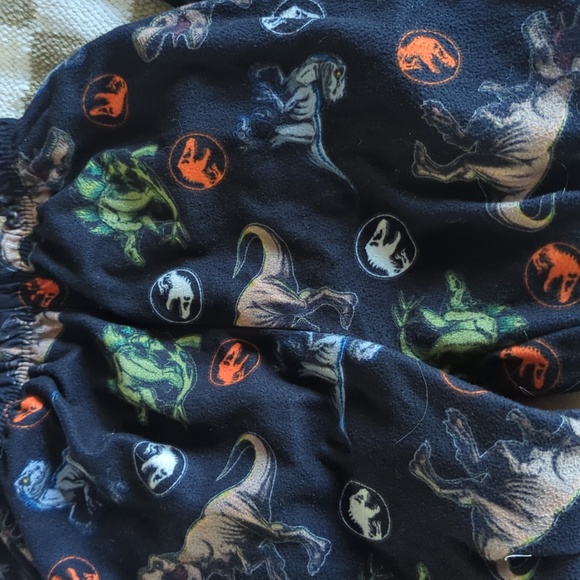 Dinosaur PJ Pants Only - Picture 3 of 6